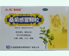 桐君阁桑菊感冒颗粒价格对比