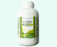 安乃近片价格对比 1000片 百正药业