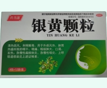 药当家银黄颗粒价格对比 12袋 升和