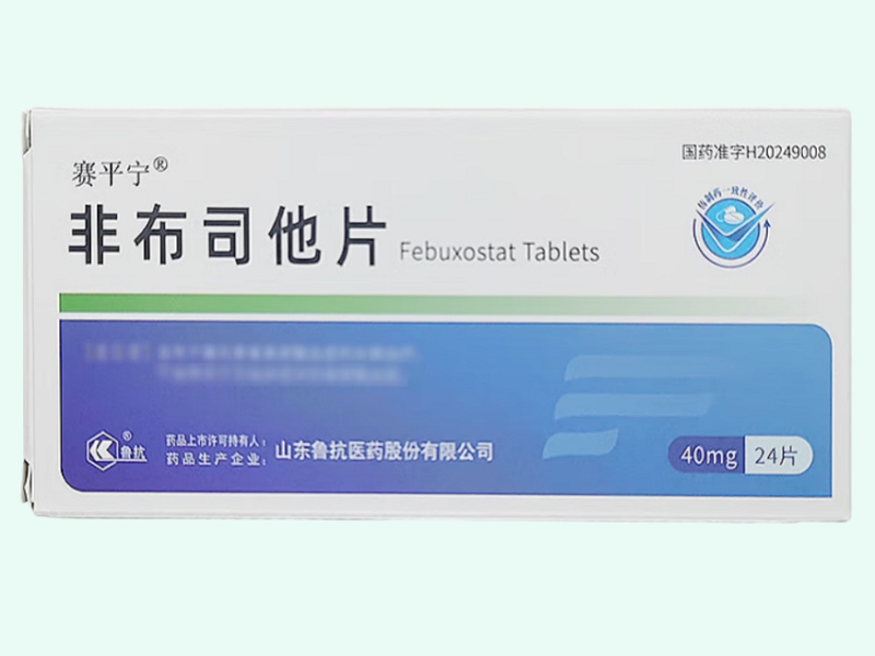 非布司他片(赛平宁/鲁抗)