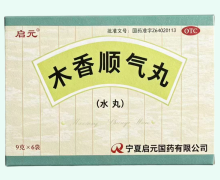 启元木香顺气丸价格对比 6袋