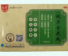 栀子金花丸价格对比 6袋 天奇