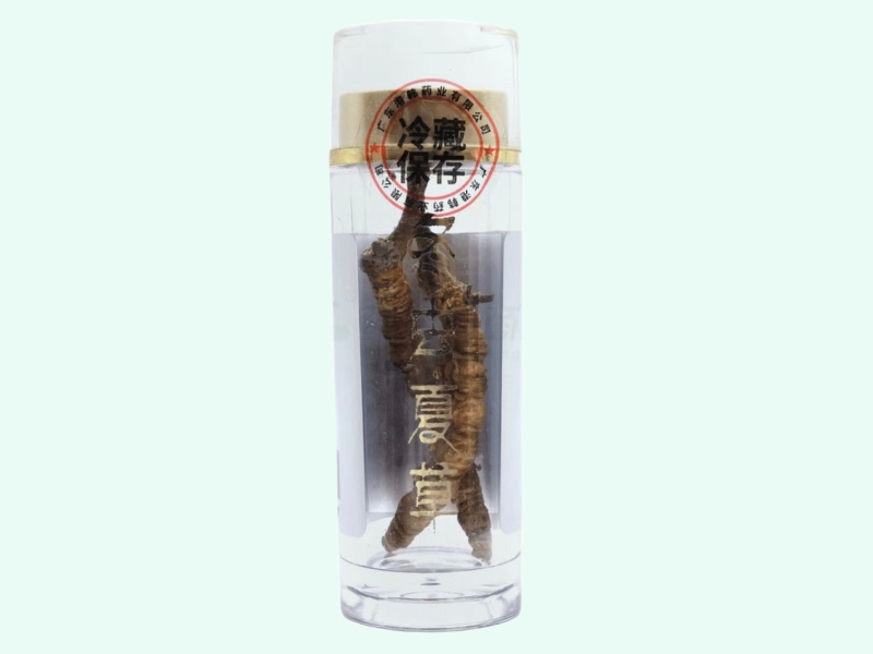 港韩冬虫夏草价格对比