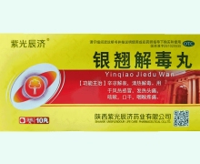 紫光辰济银翘解毒丸价格对比