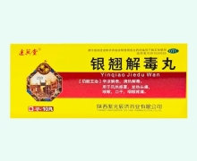 达兴堂银翘解毒丸价格对比 10丸