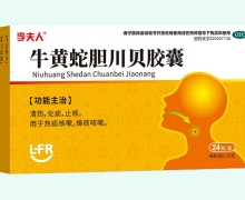牛黄蛇胆川贝胶囊价格对比 24粒 李夫人