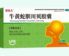 李夫人牛黄蛇胆川贝胶囊价格对比