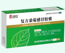中国药材复方桑菊感冒胶囊价格对比