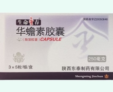 生命金春华蟾素胶囊价格对比 15粒 东泰制药
