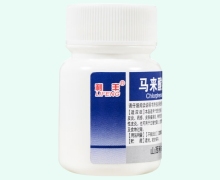 利丰马来酸氯苯那敏片价格对比 100片