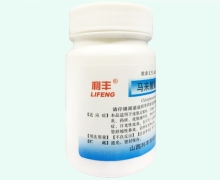 马来酸氯苯那敏片价格对比 1000片 利丰