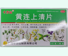 黄连上清片价格对比 24片*2板 十万山