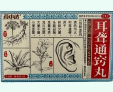 药小达耳聋通窍丸价格对比 2袋
