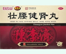 壮腰健肾丸价格对比 10丸 白云山陈李济药厂