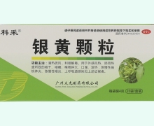 银黄颗粒价格对比 20袋 广州大光