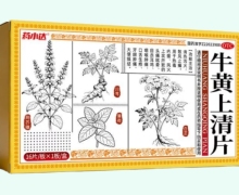 药小达牛黄上清片价格对比 16片