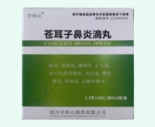 苍耳子鼻炎滴丸价格对比 12袋 字库山