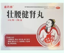 盛药师壮腰健肾丸价格对比 12丸
