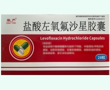 敢严盐酸左氧氟沙星胶囊价格对比 28粒