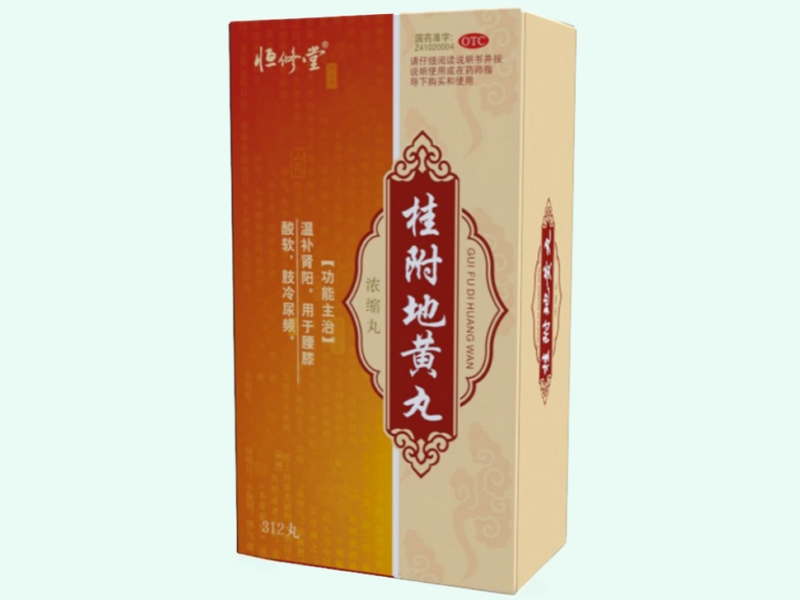 桂附地黄丸(浓缩丸)(恒修堂)