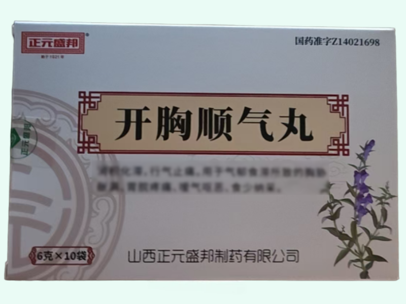 开胸顺气丸(正元盛邦)