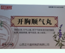 开胸顺气丸价格对比 6g*10袋 正元盛邦制药