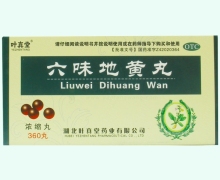 叶真堂六味地黄丸(浓缩丸)价格对比 360丸