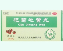 叶真堂杞菊地黄丸(浓缩丸)价格对比 360丸
