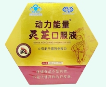 晟世仁航动力能量灵芝口服液价格对比