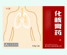 人生化核膏药价格对比 2张 人生药业