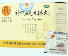北京同仁堂补中益气丸价格对比 12袋(水丸)