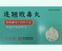 连翘败毒丸价格对比 5袋 达仁堂