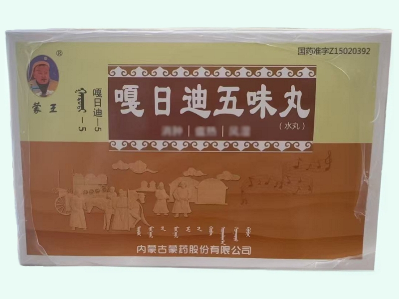 嘎日迪五味丸(蒙王/嘎日迪-5)