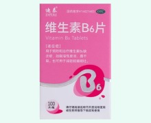 迪泰维生素B6片价格对比 100片