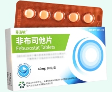 菲洛敏非布司他片价格对比 10片