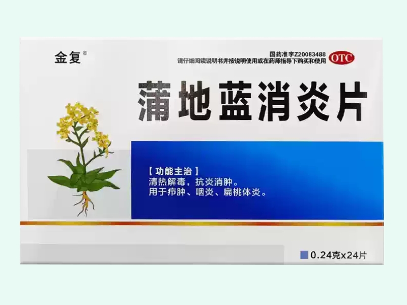 蒲地蓝消炎片(金复)
