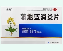 金复蒲地蓝消炎片价格对比 24片 吉尔吉药业