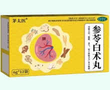 参苓白术丸价格对比 12袋 茅太医