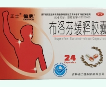 正士布洛芬缓释胶囊价格对比 24粒 吉林省力胜制药