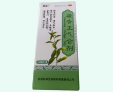 加味藿香正气合剂价格对比 100ml 丽彩