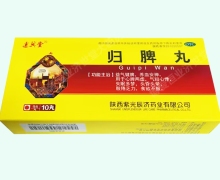达兴堂归脾丸价格对比 10丸