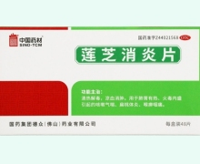 中国药材莲芝消炎片价格对比 48片