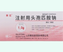 斯壮注射用头孢匹胺钠价格对比 10瓶