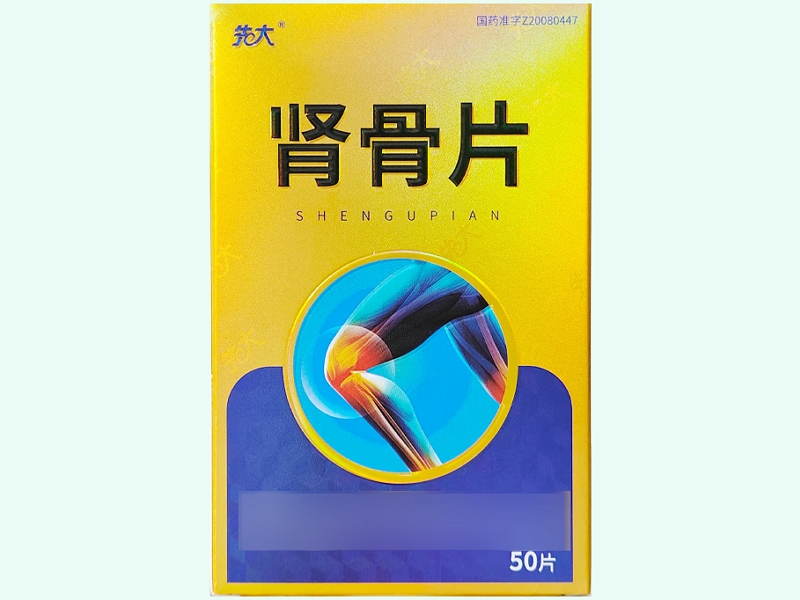 肾骨片(先大)