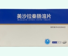 美沙拉秦肠溶片价格对比 10片 谦祁