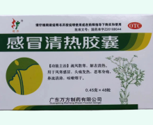 旺方感冒清热胶囊价格对比 48粒 广东万方制药
