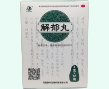 康祺解郁丸价格对比 12袋 河南泰丰