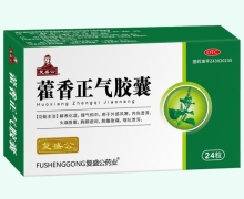 复盛公藿香正气胶囊价格对比 24粒 马王堆