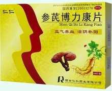 仁仁参芪博力康片价格对比
