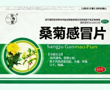 岁寿堂桑菊感冒片价格对比 60片